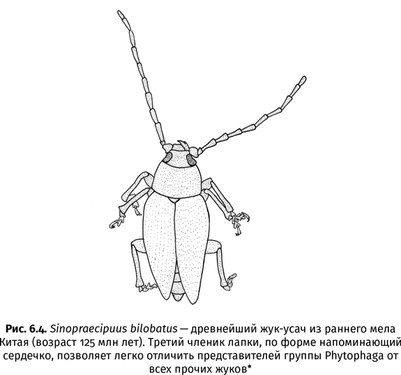 Краткая история насекомых. Шестиногие хозяева планеты