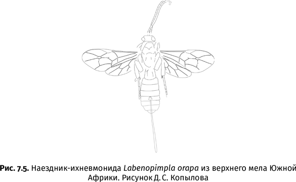 Краткая история насекомых. Шестиногие хозяева планеты