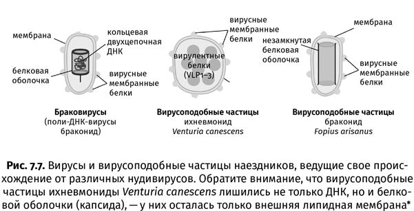 Краткая история насекомых. Шестиногие хозяева планеты