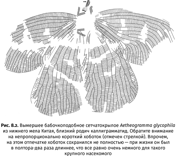 Краткая история насекомых. Шестиногие хозяева планеты