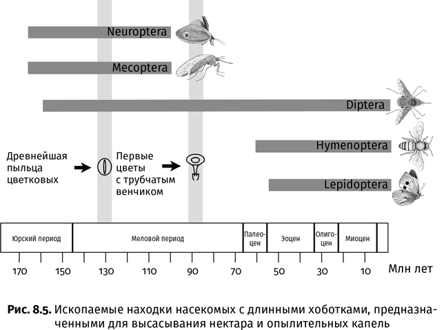 Краткая история насекомых. Шестиногие хозяева планеты