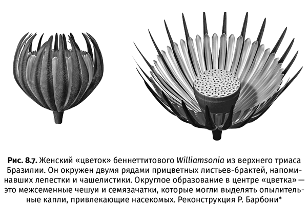 Краткая история насекомых. Шестиногие хозяева планеты