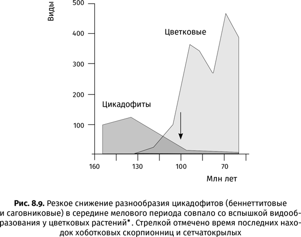 Краткая история насекомых. Шестиногие хозяева планеты