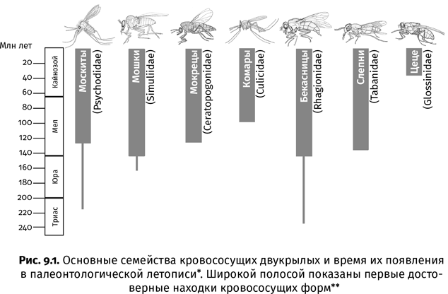 Краткая история насекомых. Шестиногие хозяева планеты