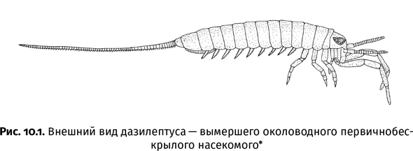 Краткая история насекомых. Шестиногие хозяева планеты