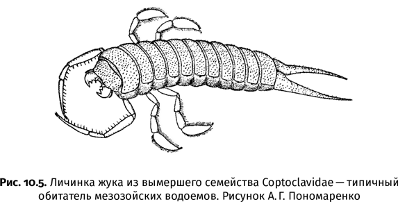 Краткая история насекомых. Шестиногие хозяева планеты