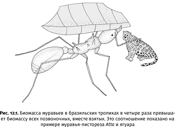 Краткая история насекомых. Шестиногие хозяева планеты