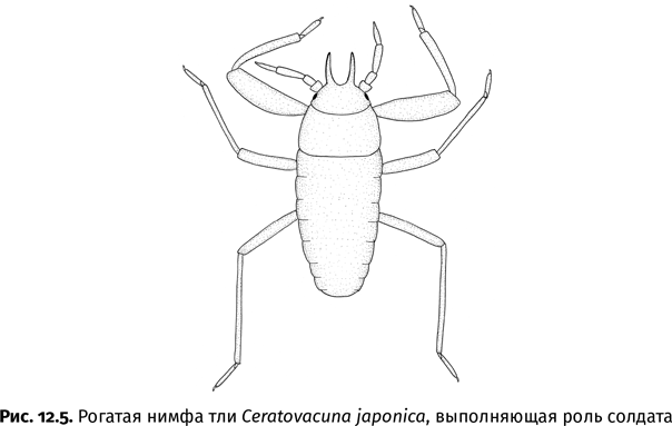 Краткая история насекомых. Шестиногие хозяева планеты