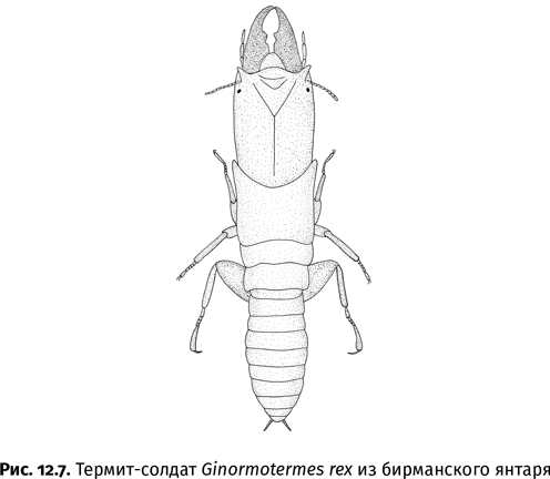 Краткая история насекомых. Шестиногие хозяева планеты