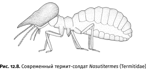 Краткая история насекомых. Шестиногие хозяева планеты