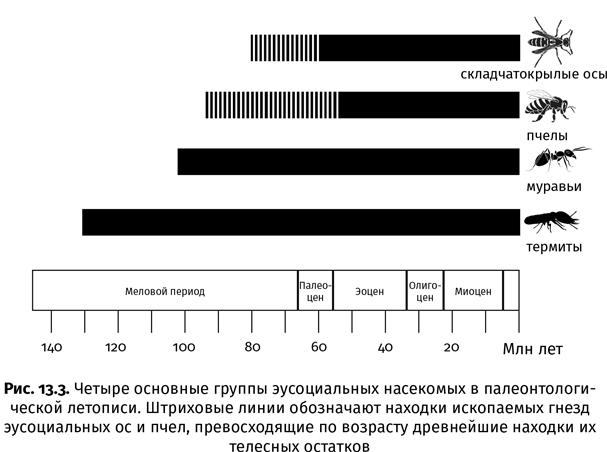 Краткая история насекомых. Шестиногие хозяева планеты