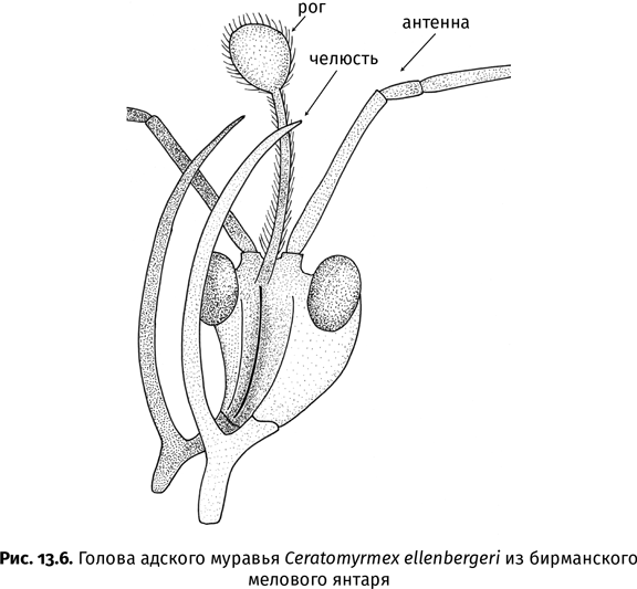 Краткая история насекомых. Шестиногие хозяева планеты