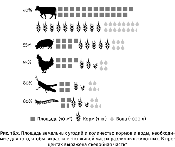 Краткая история насекомых. Шестиногие хозяева планеты