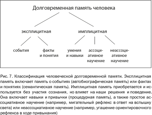 Почему люди разные. Научный взгляд на человеческую индивидуальность