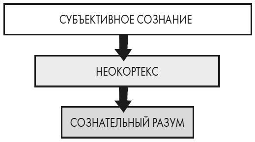 Развивай свой мозг. Как перенастроить разум и реализовать собственный потенциал