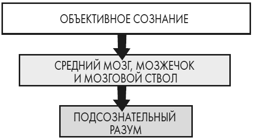 Развивай свой мозг. Как перенастроить разум и реализовать собственный потенциал