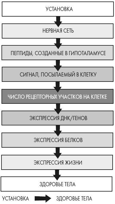 Развивай свой мозг. Как перенастроить разум и реализовать собственный потенциал