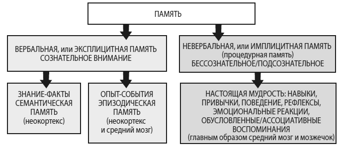 Развивай свой мозг. Как перенастроить разум и реализовать собственный потенциал