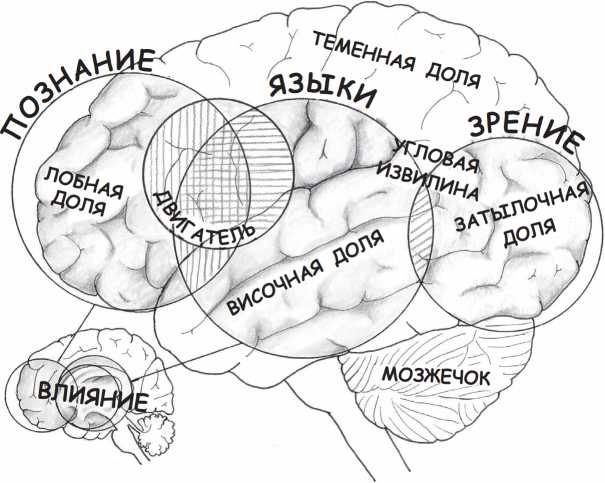 Читающий мозг в цифровом мире