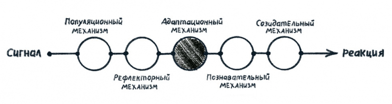 Просто о мозге. Как знания о мозге помогают получить больше