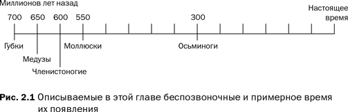 Наука сознания. Современная теория субъективного опыта