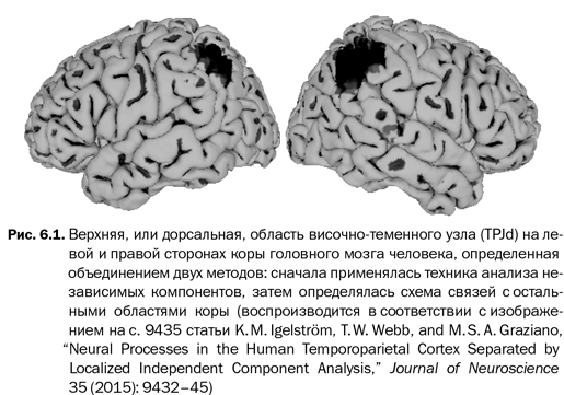 Наука сознания. Современная теория субъективного опыта