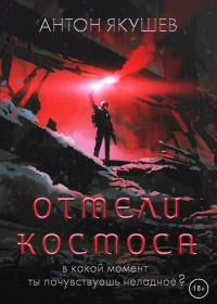 Книга Отмели космоса