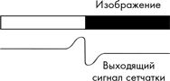 Как мы видим? Нейробиология зрительного восприятия