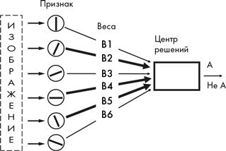 Как мы видим? Нейробиология зрительного восприятия