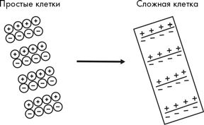 Как мы видим? Нейробиология зрительного восприятия