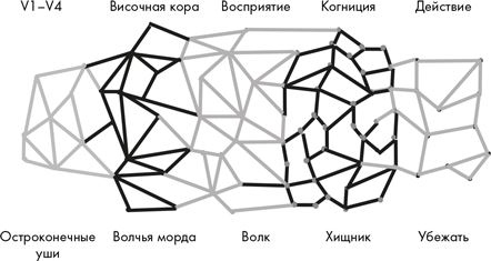 Как мы видим? Нейробиология зрительного восприятия