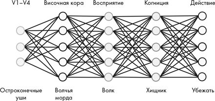 Как мы видим? Нейробиология зрительного восприятия