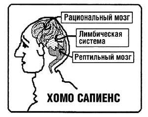 Тренинг уверенного общения. 56 упражнений, которые помогут прокачать навыки коммуникации