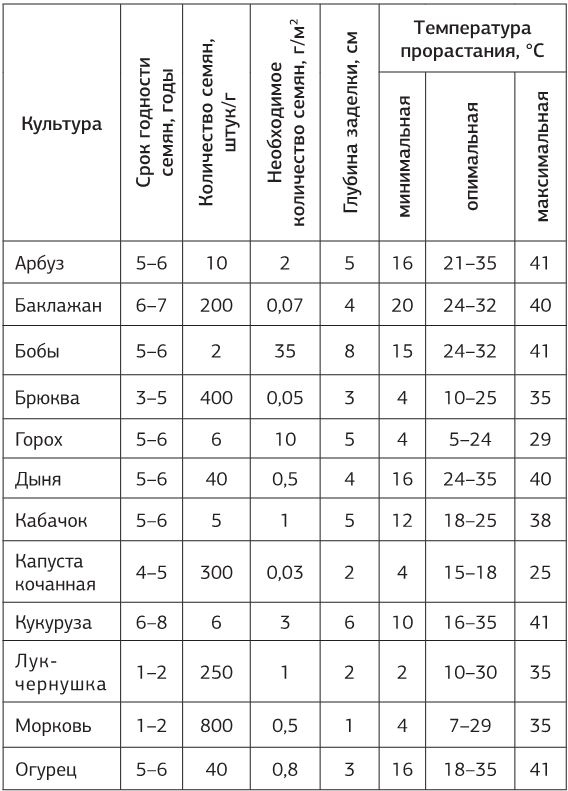 Как вырастить свою рассаду и разбить правильные грядки