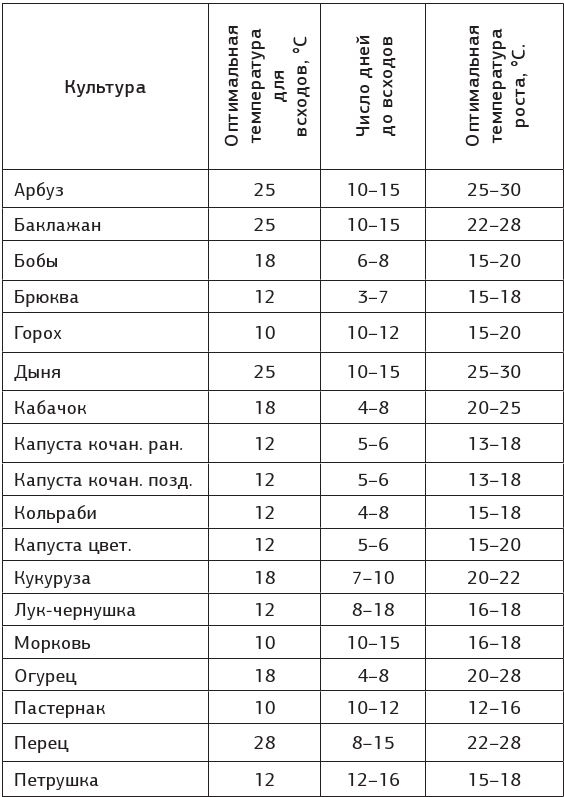 Как вырастить свою рассаду и разбить правильные грядки