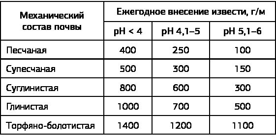 Как вырастить свою рассаду и разбить правильные грядки