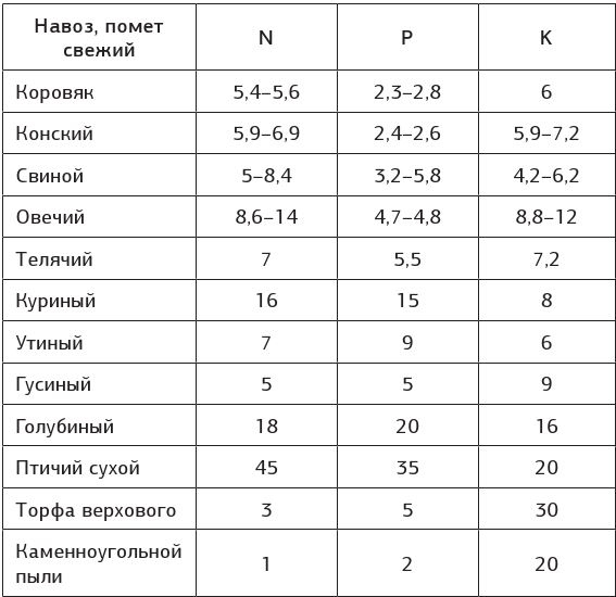 Как вырастить свою рассаду и разбить правильные грядки