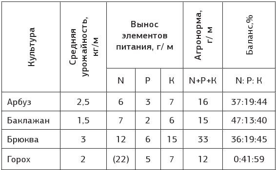 Как вырастить свою рассаду и разбить правильные грядки