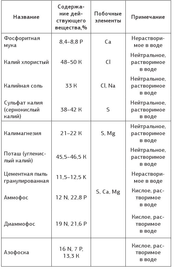 Как вырастить свою рассаду и разбить правильные грядки