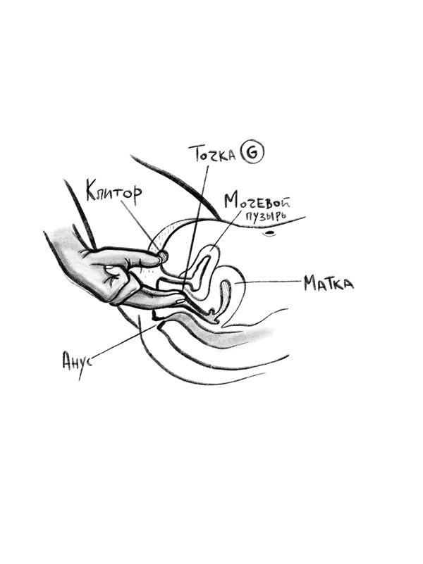 FAQ. 100 вопросов и ответов про оргазм