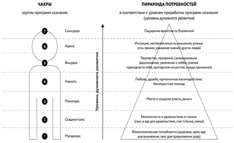 Борьба за внимание. Книга-практикум для маркетологов, фрилансеров и предпринимателей