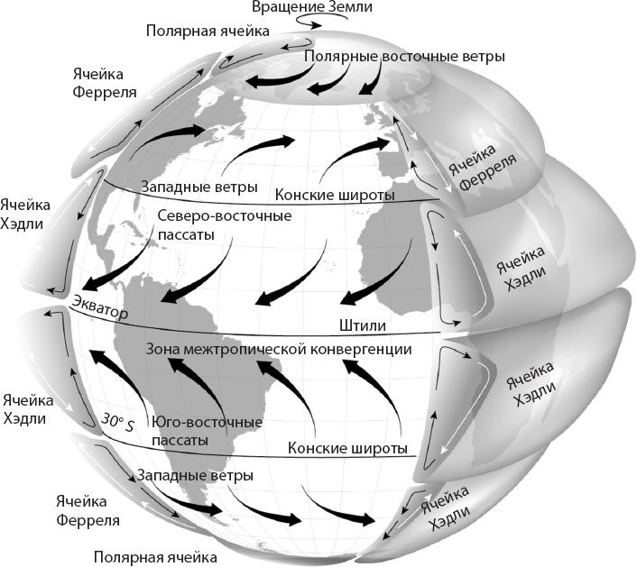 Происхождение. Как Земля создала нас