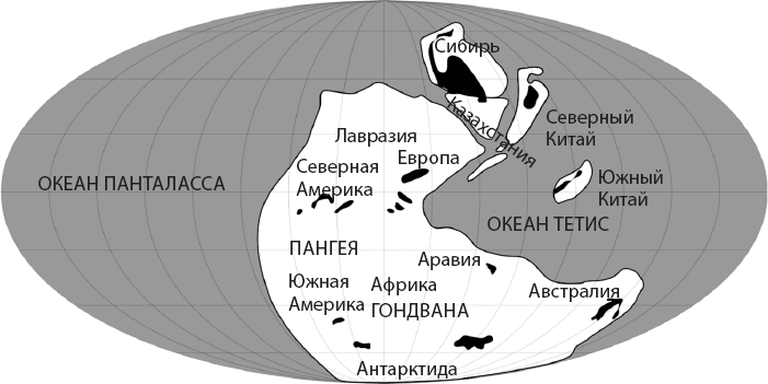 Происхождение. Как Земля создала нас