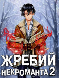 Книга Жребий некроманта 2