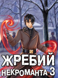 Книга Жребий некроманта 3