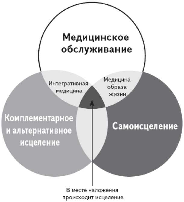 Как работает исцеление. Как настроить внутренние ресурсы организма на выздоровление