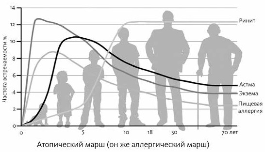 Аллергия, непереносимость, чувствительность. Как возникают нежелательные пищевые реакции и как их предотвратить