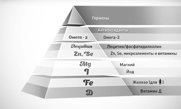 Проведи тело с пользой. Занимательная биохимия вашего организма