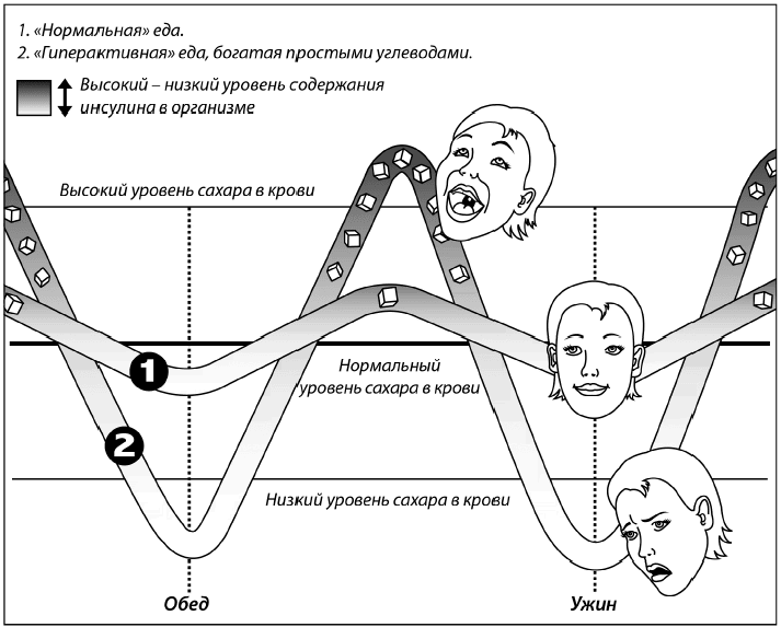 Дирижер организма. Как мозг управляет вашим весом и помогает похудеть