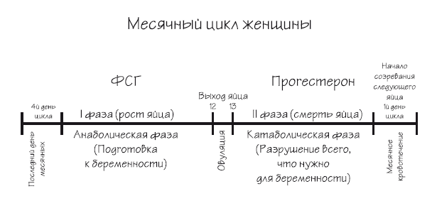 Как химичит наш организм: принципы правильного питания